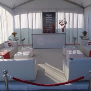 Stanchion Silver