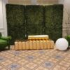 Topiary divider green