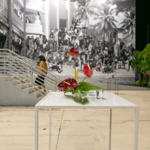 Bubble Design Rentals Products