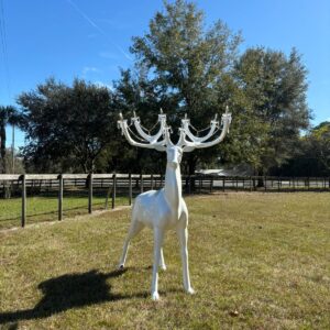Oh deer!