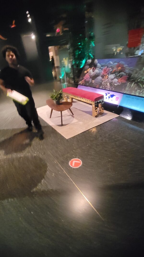 WhatsApp Image 2025-12-12 at 21.11.32_2e27d73f Othello lounge bench - Gold steel & magenta velvet