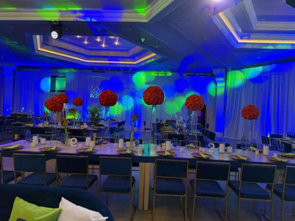 Yoyoma chair - Gold frame with navy blue pads