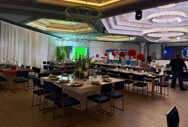 Yoyoma chair - Gold frame with navy blue pads