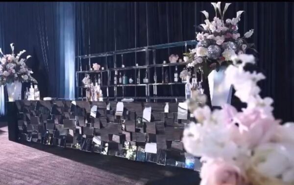 WhatsApp Image 2026-03-14 at 11.07.37 AM (1) Psycho bar - Silver