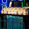 Oslo bar stool - Clear
